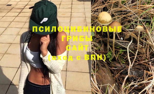 гидра Протвино